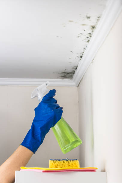 Water Damage Restoration in Pittsfield, IL